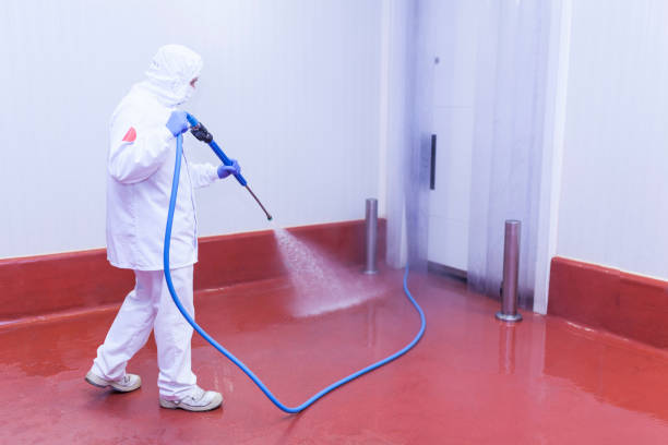 Best Roof Washing  in Lakin, KS